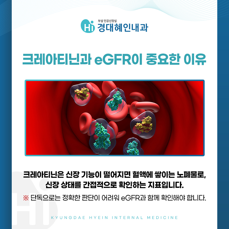 수성구 신장내과 만성콩팥병 사구체 손상 안내 이미지