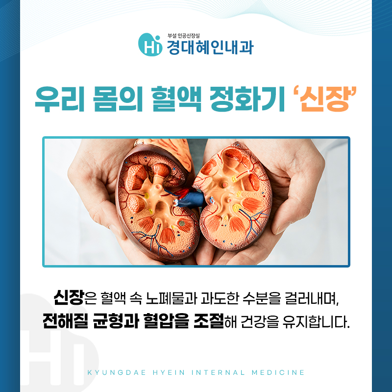 투석기를 통한 혈액 정화 원리 및 치료 과정 안내