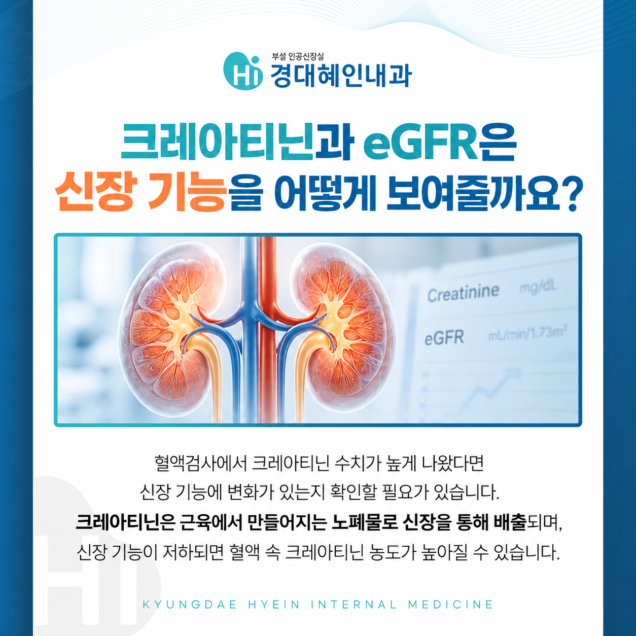 단백뇨 혈뇨 반복 확인 신장질환 평가 안내 이미지